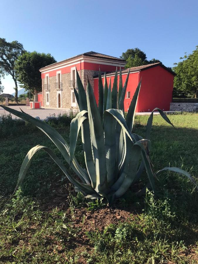 Agriturismo Dipinto Dal Sole Padula Luaran gambar